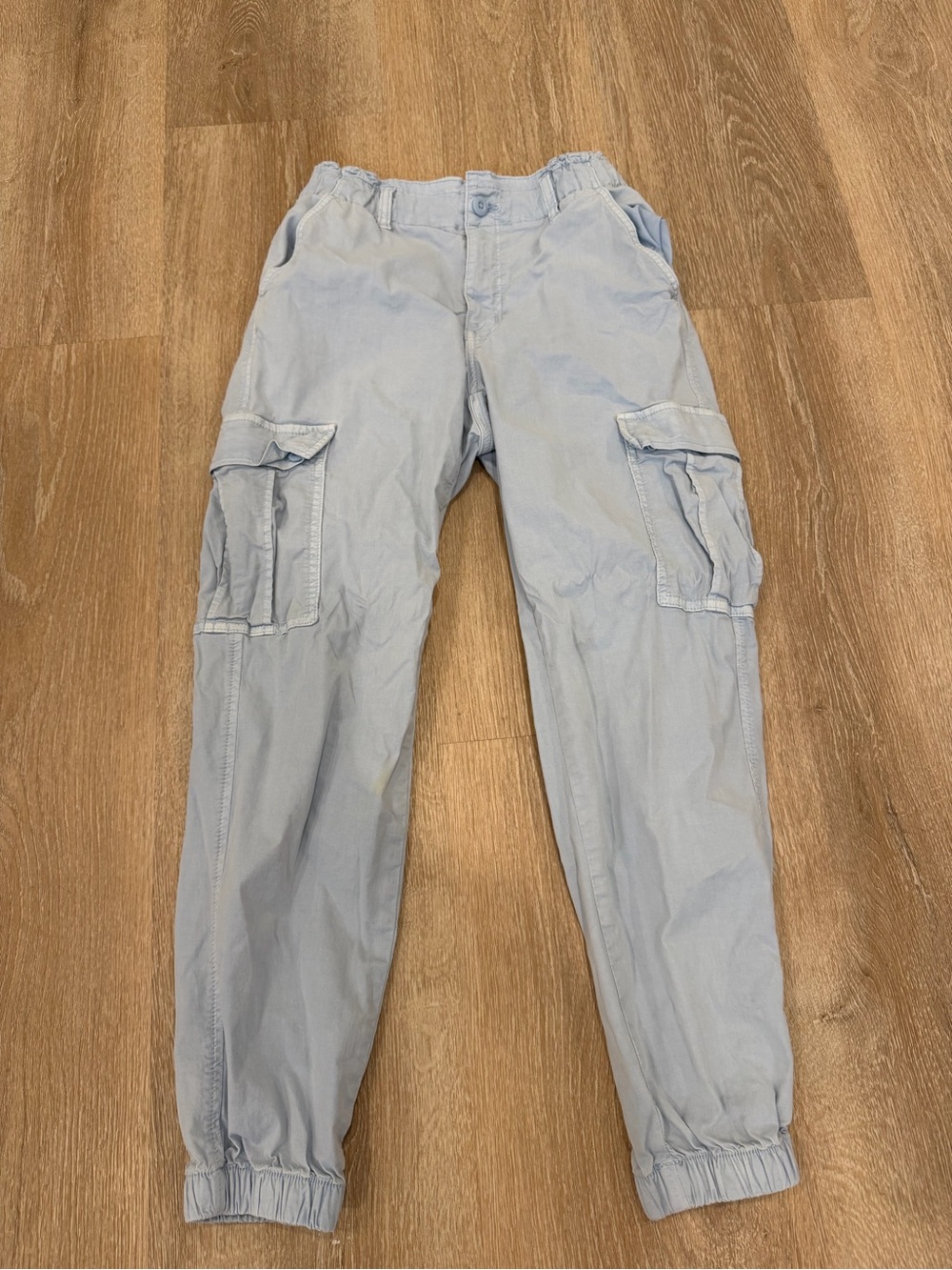 American Eagle Outfitters Light Blue Cargo Jogger Pants